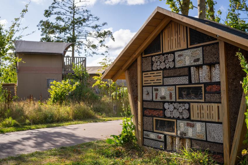 Glamping Resort Lauwersmeer 2 - foto 45