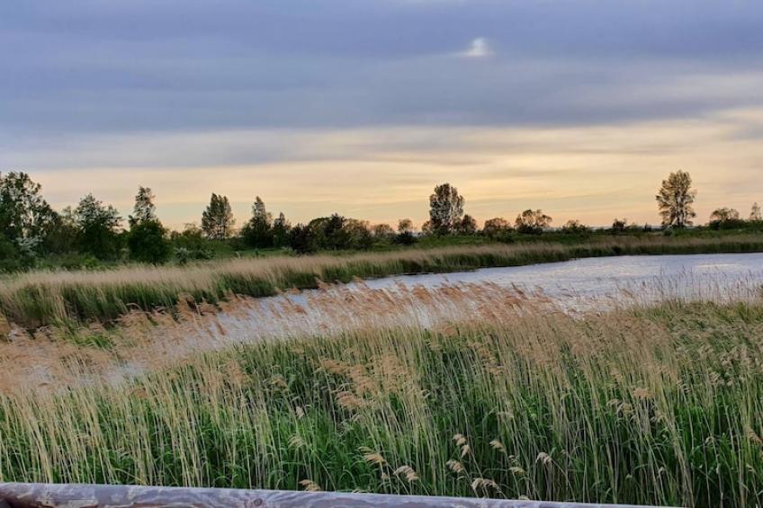 holiday home Swibno - foto 21