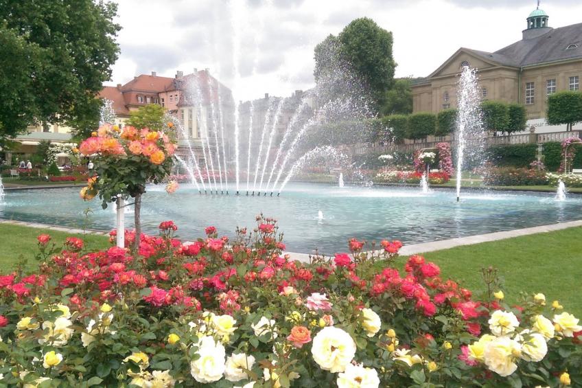 Apartment Gala, ruhige Lage, stadtnah - foto 23