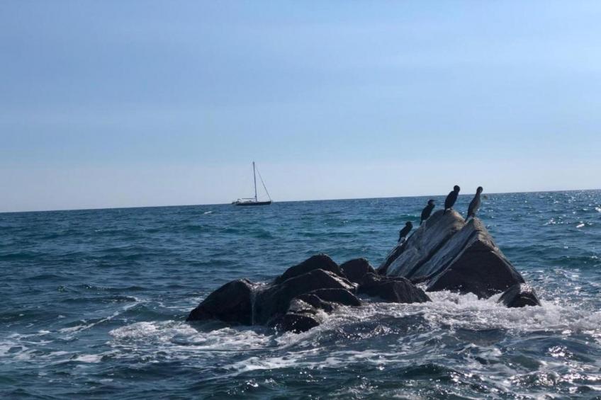 Costa Dorada: Maia - foto 21