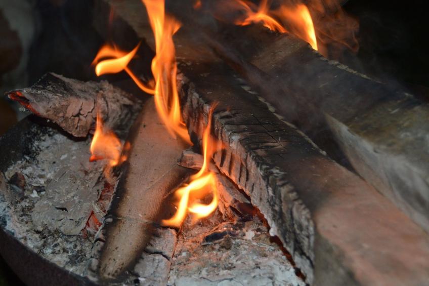 Storchennest - foto 33