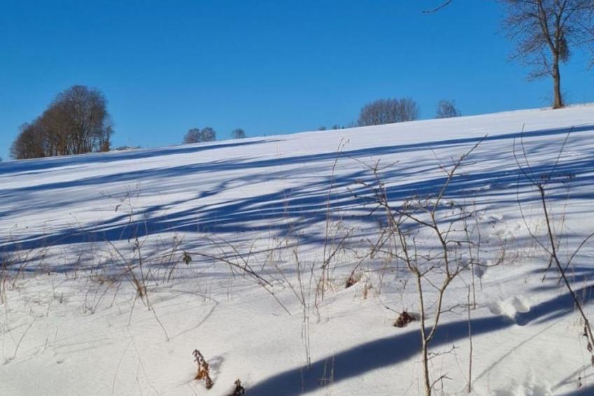 für sieben Personen - foto 51
