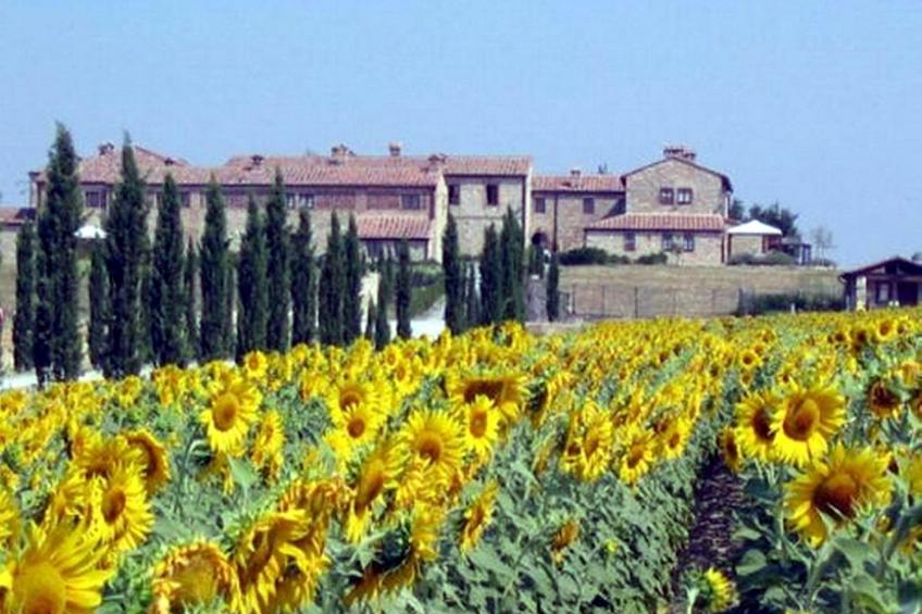 Wohnung 'Beccanella T6' mit Schwimmbad - foto 6