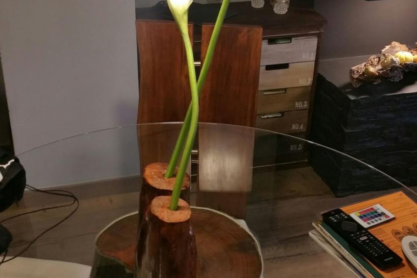 Appartement 'Borredà' mit Kaminofen - foto 7