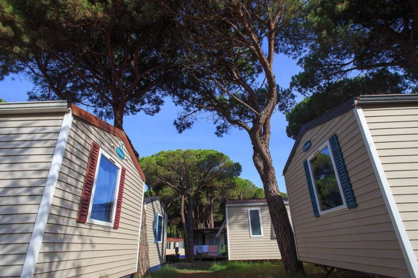 Camping Village Pineta Sul Mare - Cesenatico Mobilhome Luna - foto 32