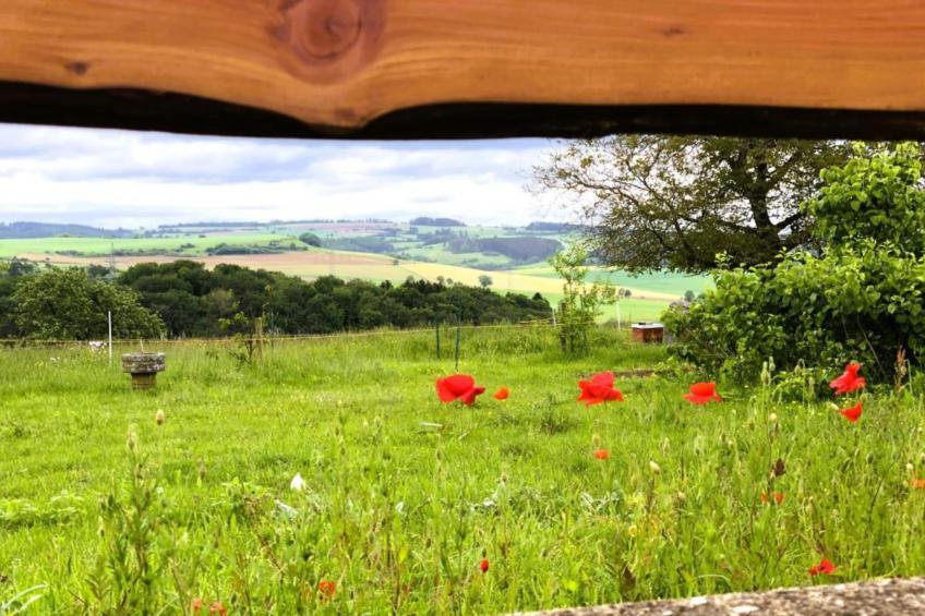 Feriendorf Reinskopf - foto 24