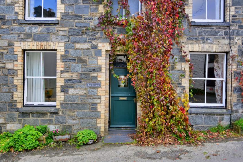 Bod Gwynedd - foto 19