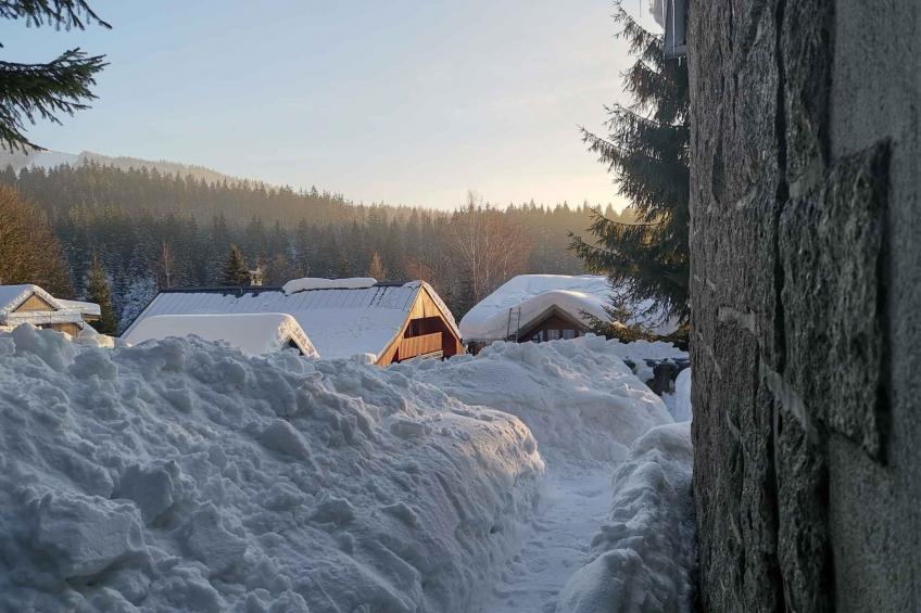 Vakantiehuis bij het bos met veranda - VW-XCJT - foto 11