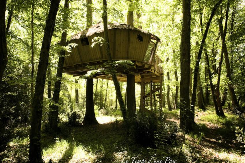 Parc de la Belle - foto 13