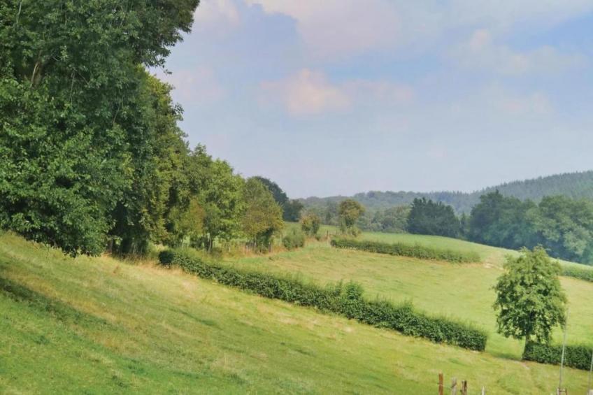 Le Petit Fagnard Gîte pour 9 personnes - foto 39