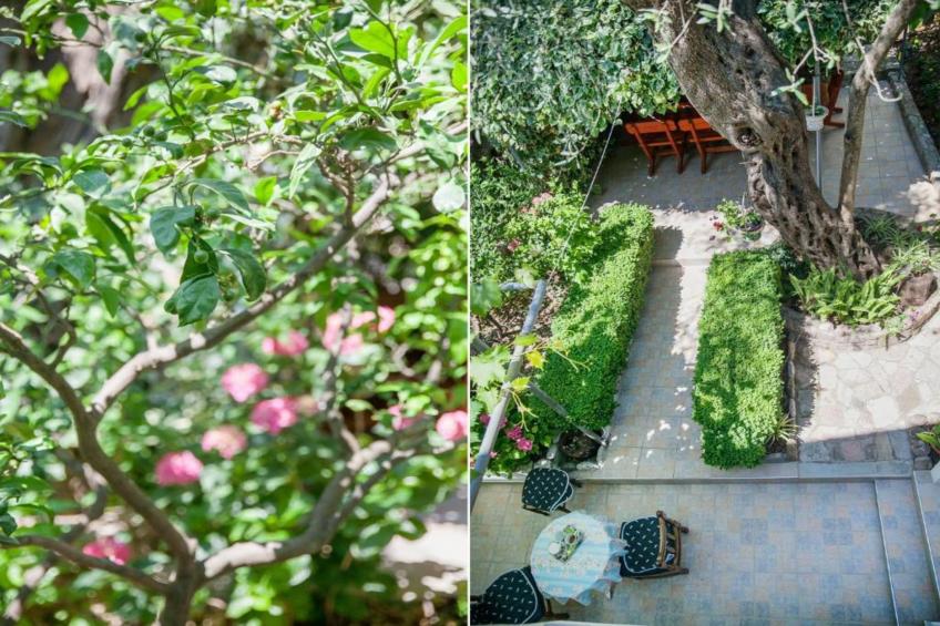 Petrovac Serenity Stay Near the Beach - Standard Double Room 2 - foto 18