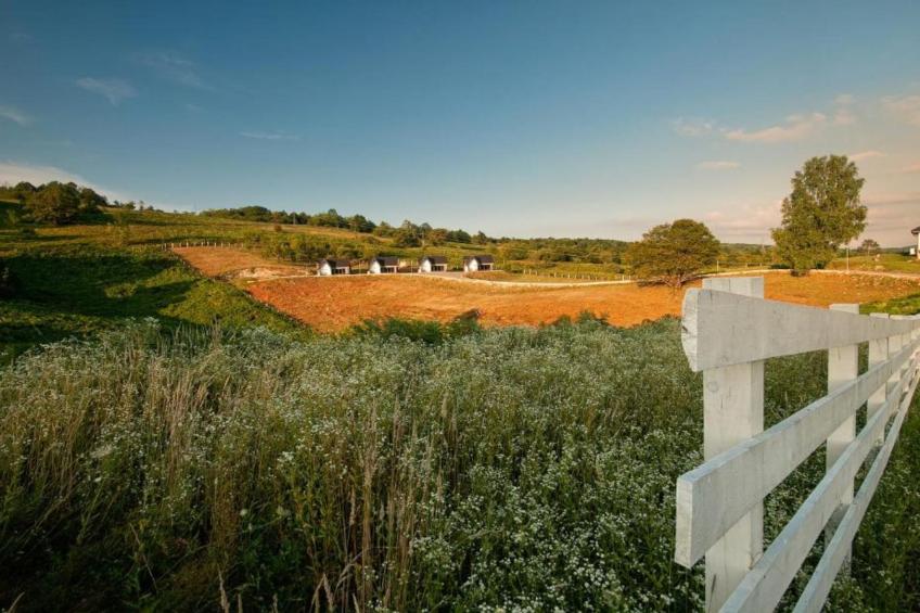 Mountain View Resort (Rita) - foto 7