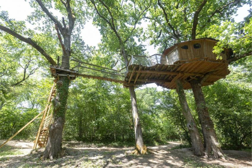 Tree-house Forest Camp 4p