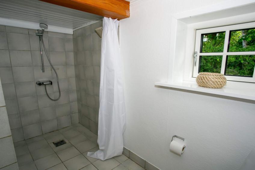 BF-JPG96 - foto 39