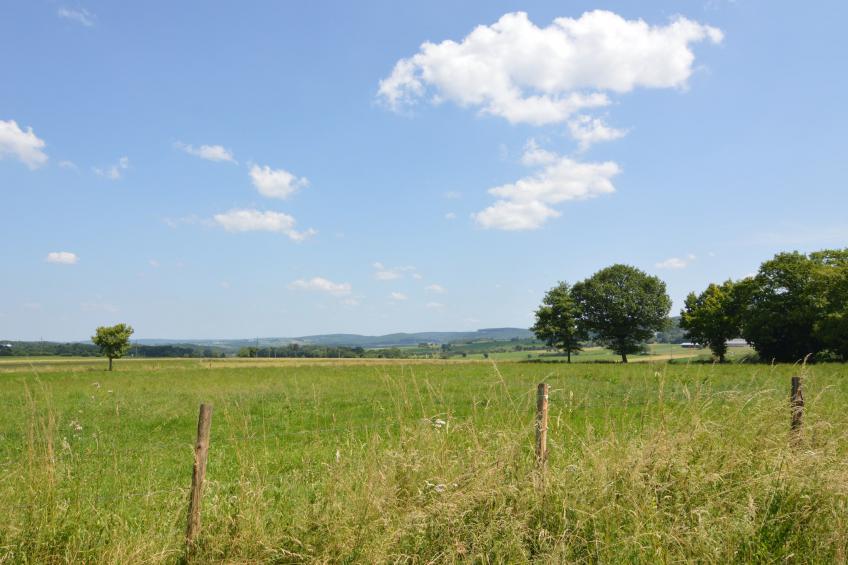 Borlonette - foto 26