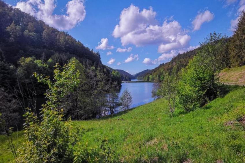 Thüringer Wald - foto 39