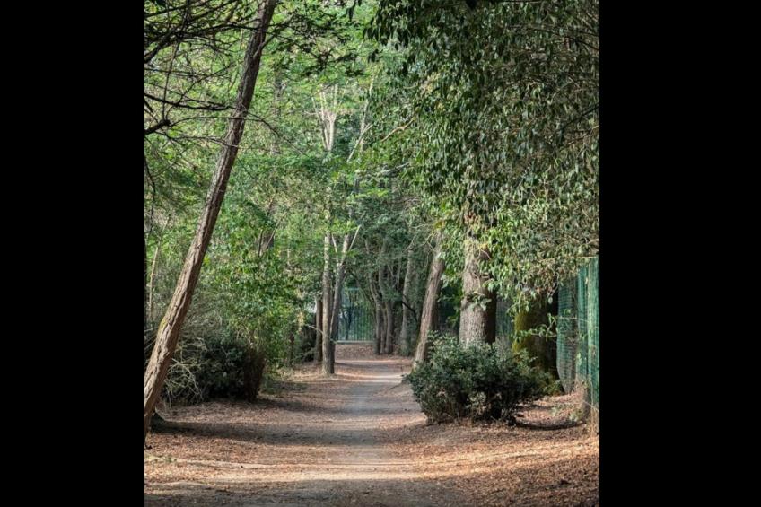 Néméa Appart'Hôtel Toulouse Saint Martin - foto 33