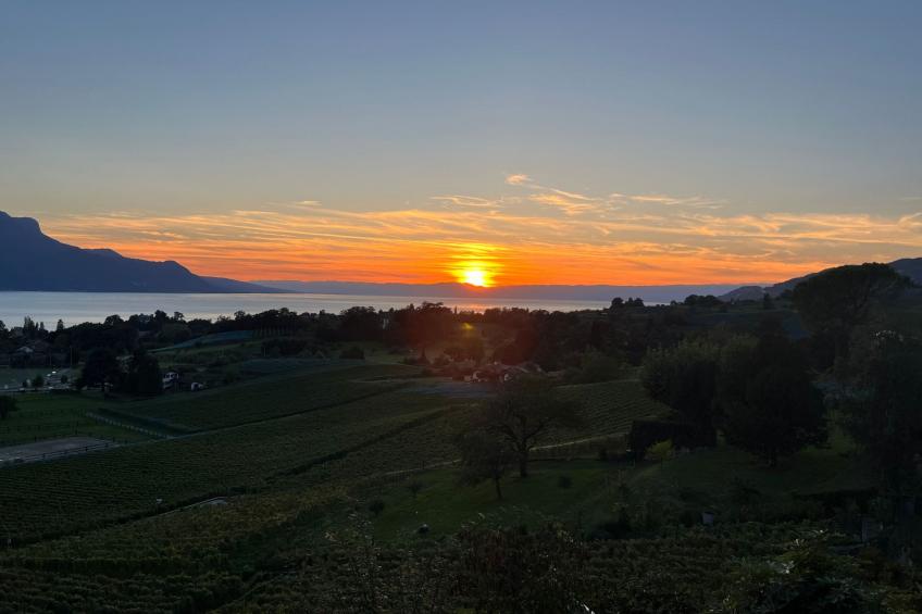 Vigneronne, App. Lac - foto 18