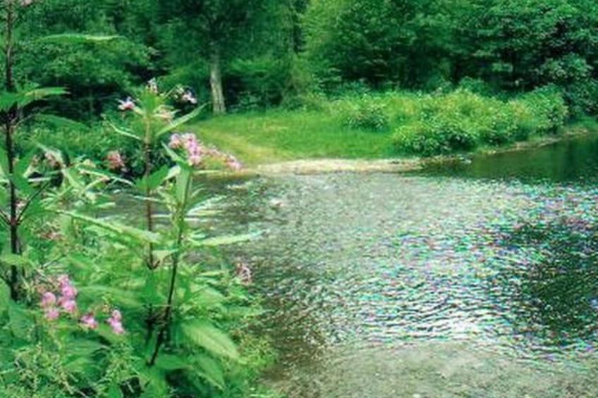 Apartment Lercher - foto 35