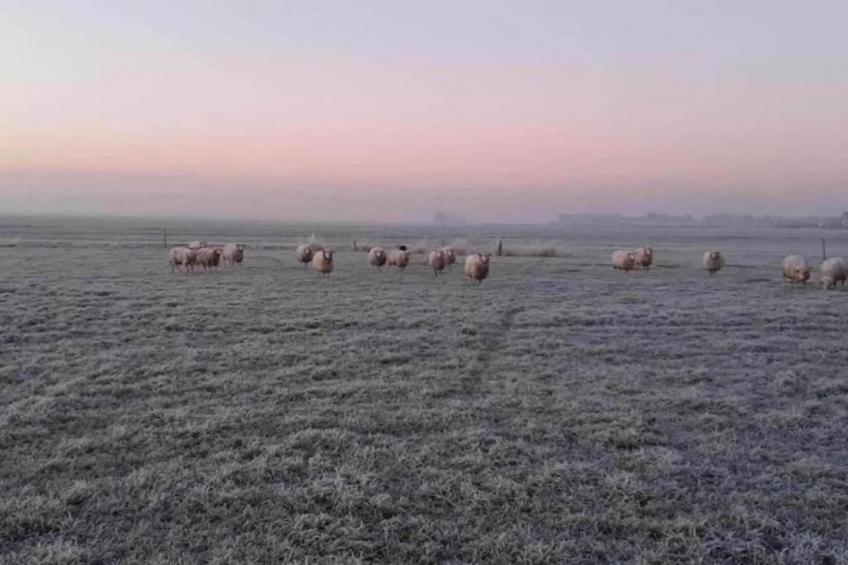 Lyts Sypenstien - foto 27