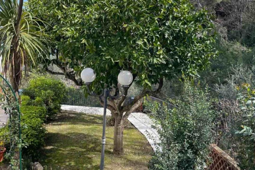 Junges Haus' Wohnung mit Wasserblick - foto 14