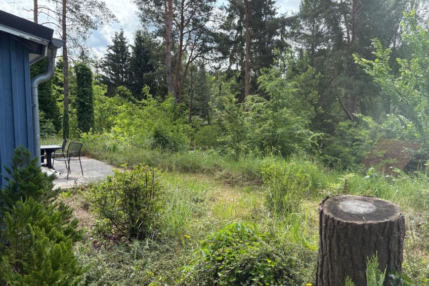 Waldhäuser - foto 40