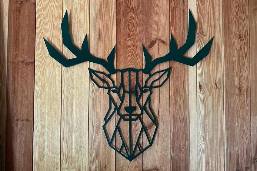 Vogelspotlodge Scholekster - foto 34