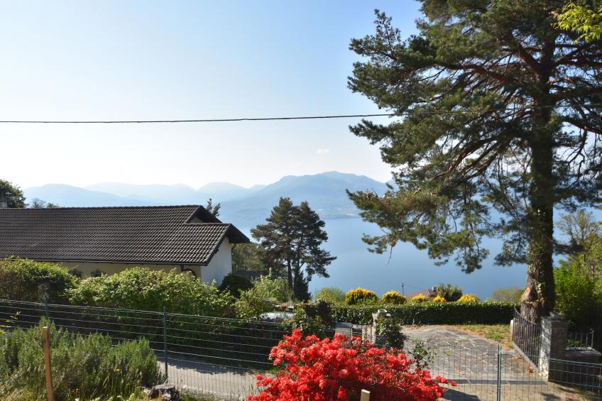 La Dacia Quattro - foto 2