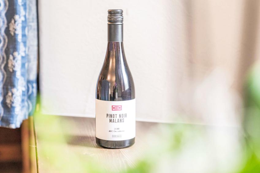 Morteratsch & Grisch - foto 16