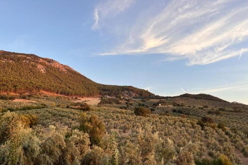 Cortijo Los Alazores - foto 25