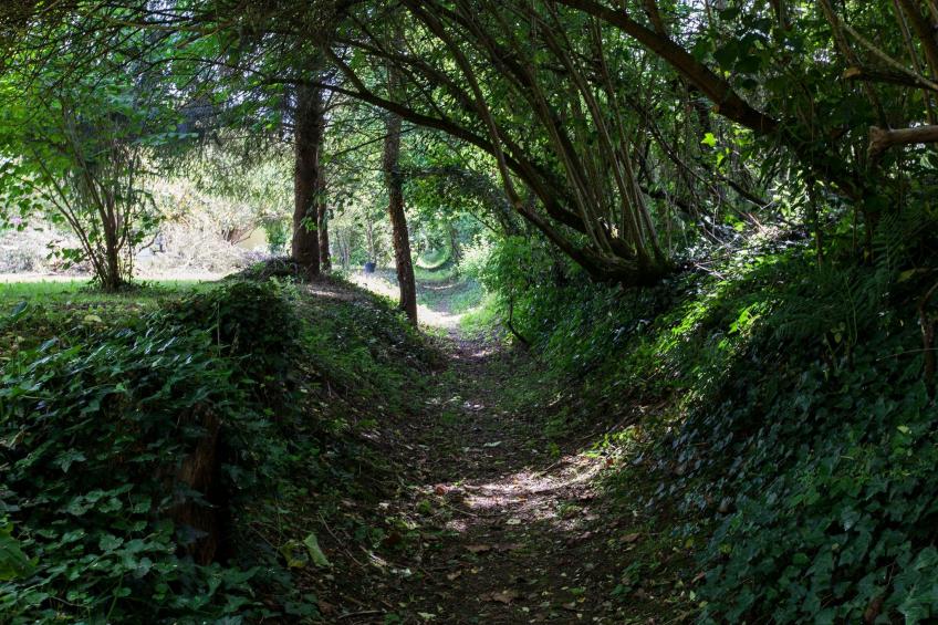 "Gite de Guillemat" - foto 23