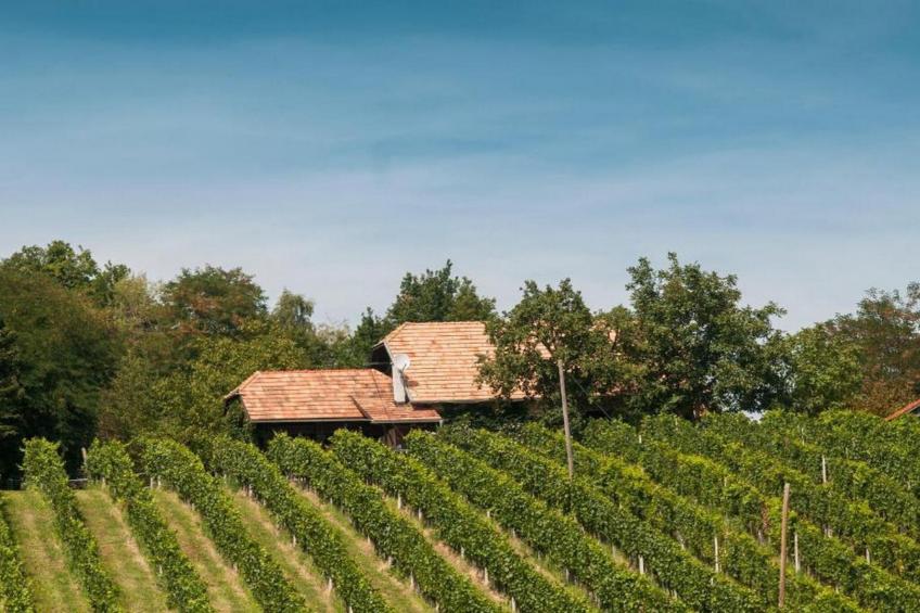 Rustic Charm Cottage Country House with Sauna - Five Bedroom  Holiday Home with Sauna - foto 23