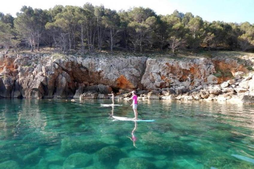 COSSIS 61B - foto 35