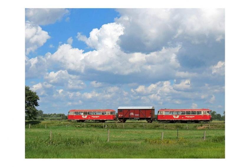 184485 - foto 35