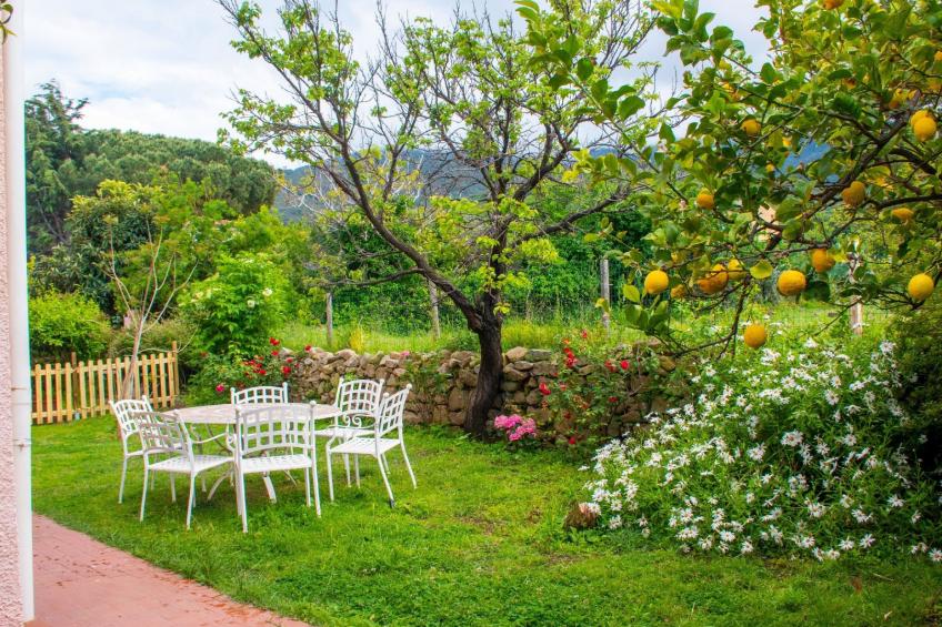 Villa Ontanelli - foto 12