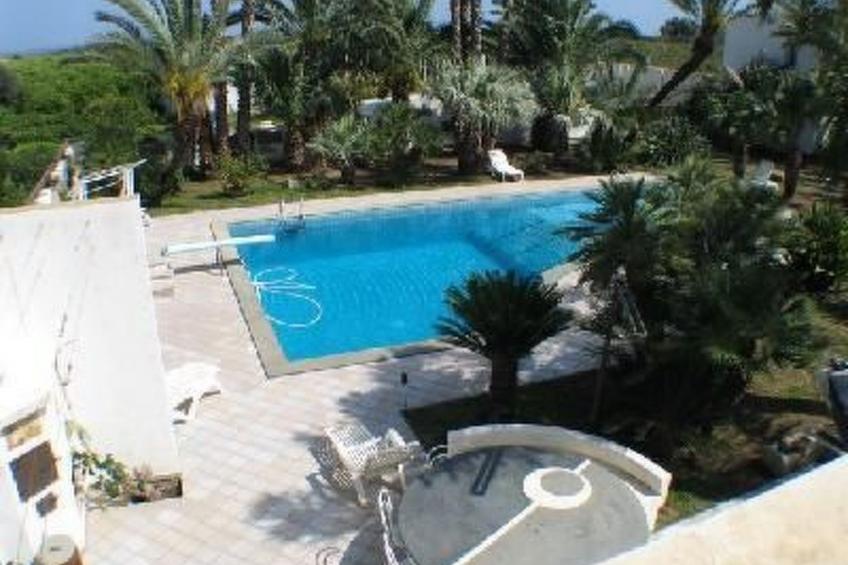 Cuore di Palme Bilo - foto 4