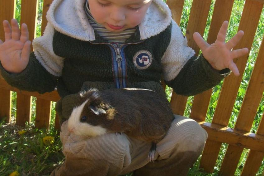 Kompatscherhof - foto 8