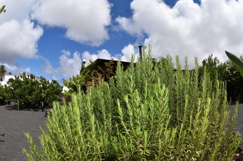 Exklusives Landhaus mit Garten und überdachter Terrasse sowie schöner Aussicht - foto 38
