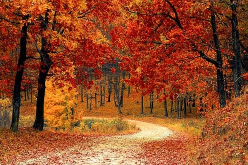 Schöne Moderne Ferienwohnung für 2-4 Personen + Hund in Sankt Andreasberg im Ob - foto 21