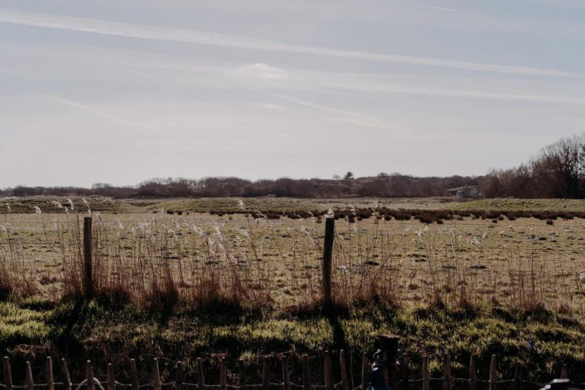 Juttershut Duynpark - Callantsoog - foto 10