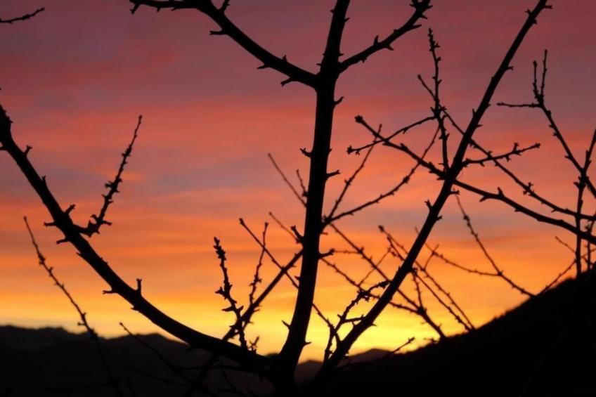 Haus Xaver - foto 12