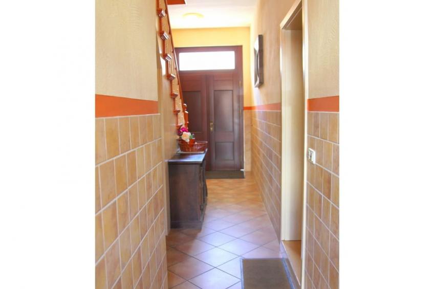 52527 - foto 5