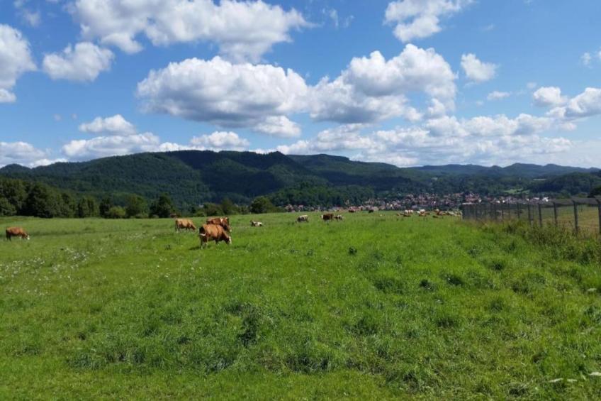 Neustadt 1 - foto 24