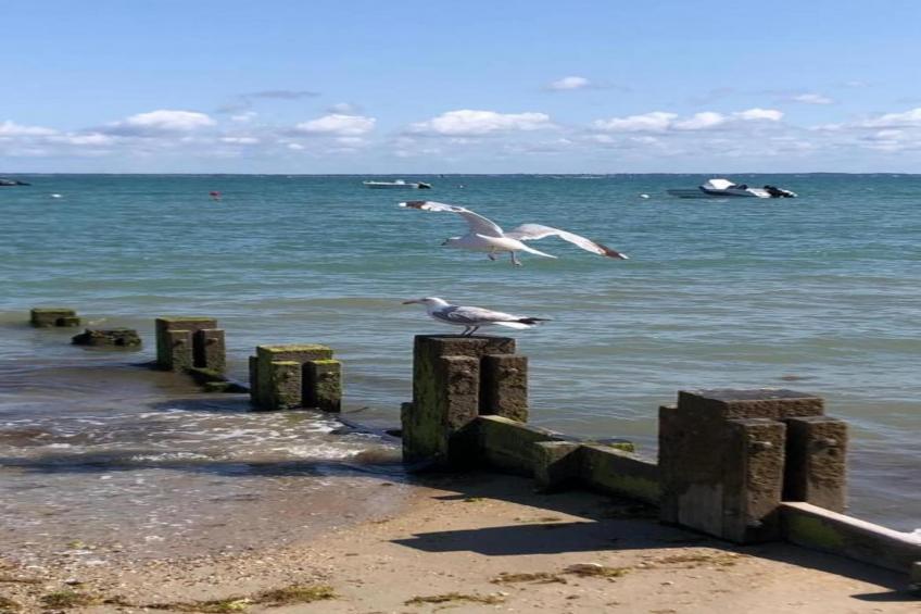 Résidence Prestige le Domaine des Pins - foto 37