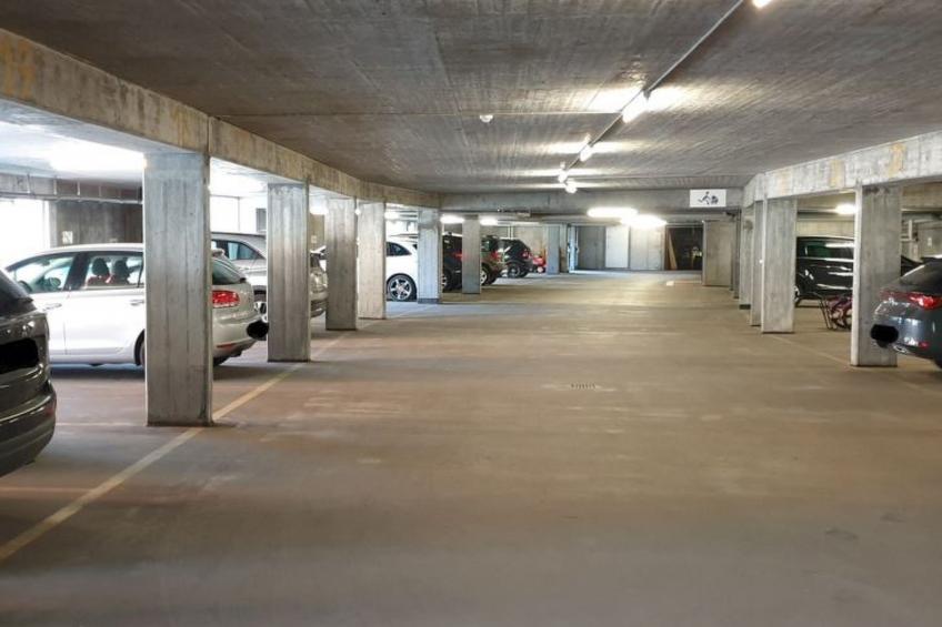 Bergblick Apartment Pany, (Pany), bergblick_pany - foto 15