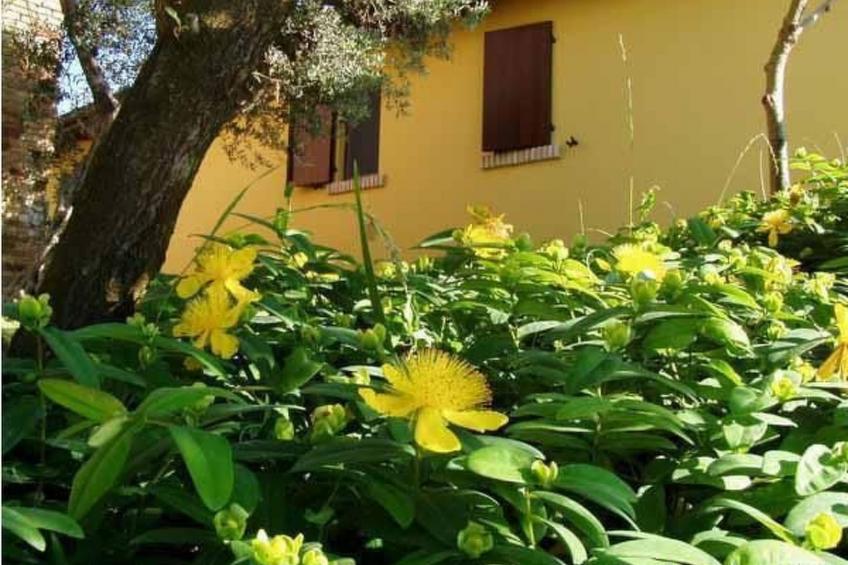 in Notaresco mit Grill und Garten - foto 8