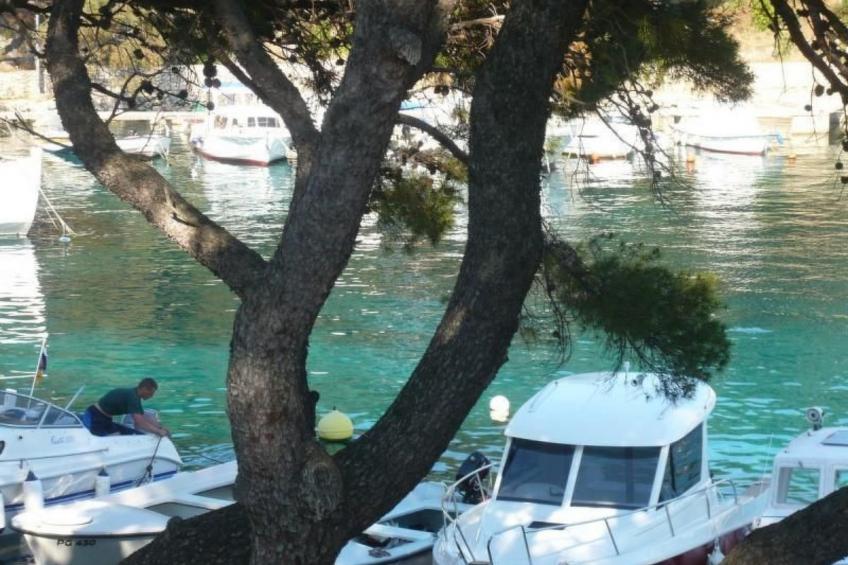 Gemütliche Ferienwohnung für drei Personen - foto 6