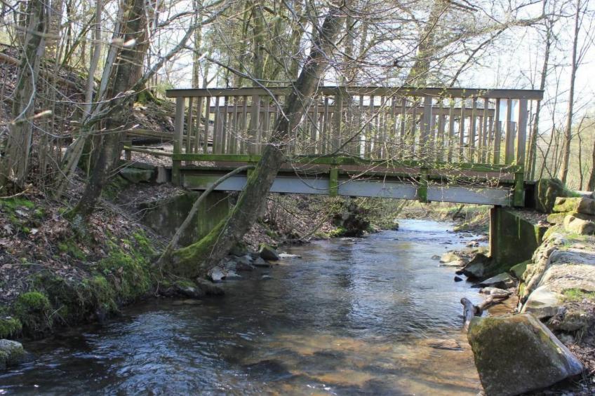 "zum Eifgental" - foto 22