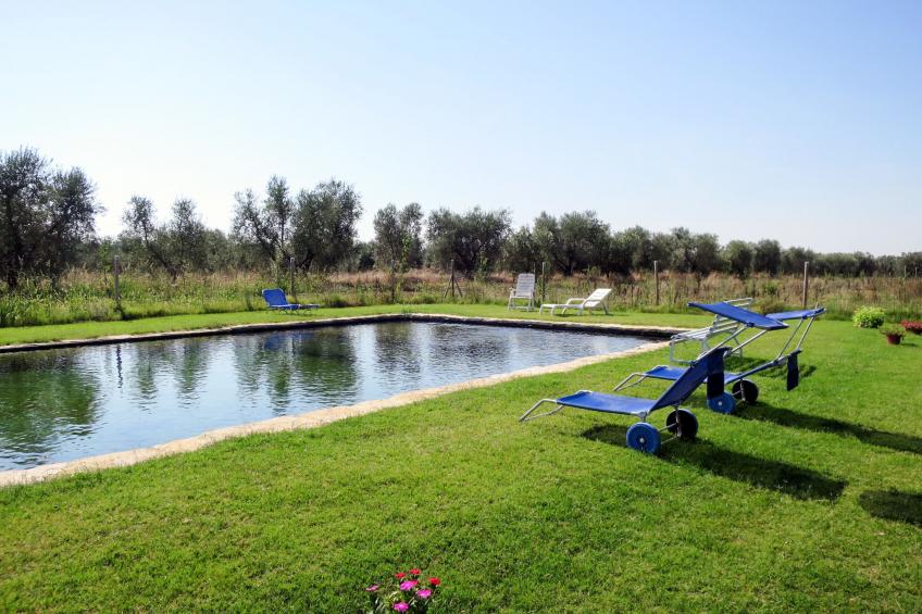 Agriturismo Podere Noé (ROC420) - foto 25