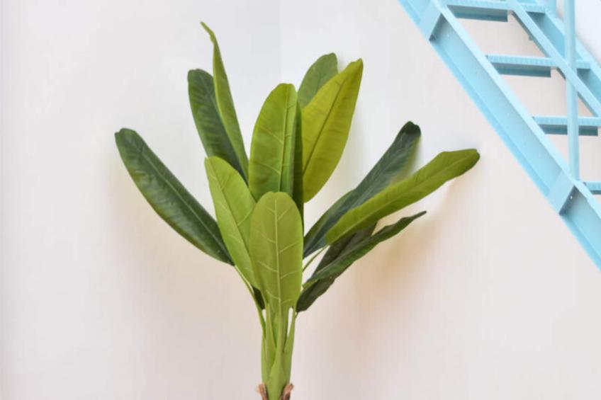 Maison à Moncofar - foto 8